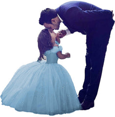 Little Girls Dresses Cinderella Princess Pageant Ball Gowns Kids Tulle Flower Girls Dresses Princess Dresses