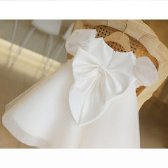 Puffy Sleeve Flower Girl Dress Vintage Ruffle Birthday Party Tulle Gown