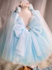 Blue Princess Dress Cute Flower Girls Dresses with Bow Tulle Gown Embroidery Butterfly Dress