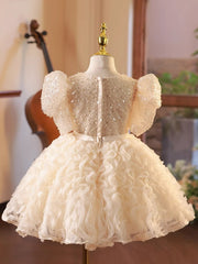Puffy Sleeve Birthday Party Dress Sequnis A Line Princess Gown with Bow