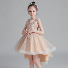 Children's Puffy High-low Dress Classic Round Necked Embroidery Sheer Princess Gown