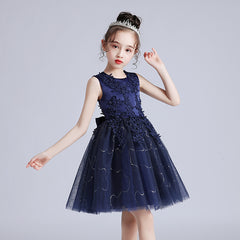 Children's Puffy High-low Dress Classic Round Necked Embroidery Sheer Princess Gown