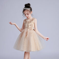 Children's Puffy High-low Dress Classic Round Necked Embroidery Sheer Princess Gown