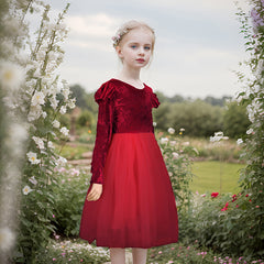 Kids Long Sleeve Velvet Princess Dresses Cute Round Neck Flower Girls Dress