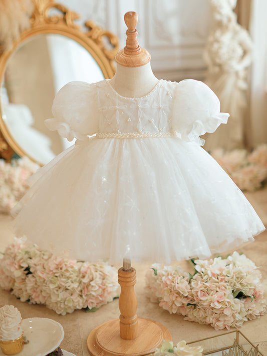 Girls Crew Neck Princess Dress with Bow Puff Sleeve A-Line Party Flower Girl Dress