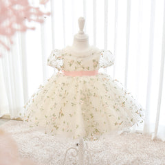 Kid's Floral Dress Embroidery Sheer Royal Party Dress Cute Tutu Dress Gown