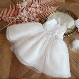 Sleeveless Puffy Dress for Girls Sequins Birthday Party Dress with Bow