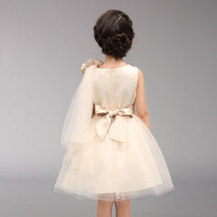 Champagne Flower Girl Dresses with Bows Baby Girls Short Skirt Tulle Gown Empire Waist