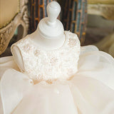 Cute Sleeveless Flower Girl Dresses with Bow Ruffle Embroidery Bodice Gown