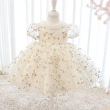 Kid's Floral Dress Embroidery Sheer Royal Party Dress Cute Tutu Dress Gown