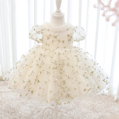 Kid's Floral Dress Embroidery Sheer Royal Party Dress Cute Tutu Dress Gown