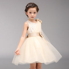 Champagne Flower Girl Dresses with Bows Baby Girls Short Skirt Tulle Gown Empire Waist