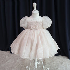 Cute Princess Dress with Bow Embroidery Sheer Puff Sleeves Formal Dress