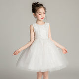 Lovely Princess Dresses with Bow Short Tulle Dress Embroidery Sheer Puffy A Line Gown