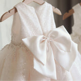 Sleeveless Puffy Dress for Girls Sequins Birthday Party Dress with Bow