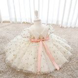 Kid's Floral Dress Embroidery Sheer Royal Party Dress Cute Tutu Dress Gown