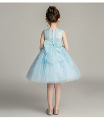 Lovely Princess Dresses with Bow Short Tulle Dress Embroidery Sheer Puffy A Line Gown