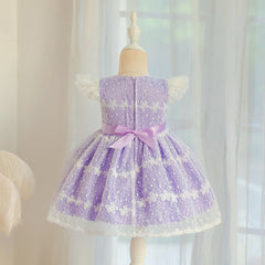 Baby Girls' Cute Tutu Dress with Lace Embroidery Sheer Princess Dresses with Bow
