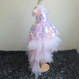 Flower Girl Dress Birday Party Costume Glitter Big Sequins Princess Spangle Dress Layered Wedding Dresses