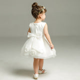 Simple Christening Dress for Baby Girls Sleeveless Flower Girl Dresses Round Neck Cute dress