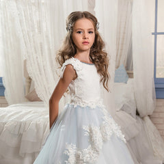 Light Blue 3 D Embroidery Sheer Dress Girls Fancy Princess Dress Ball Gown Floor Length