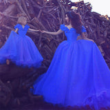 Little Girls Dresses Cinderella Princess Pageant Ball Gowns Kids Tulle Flower Girls Dresses Princess Dresses