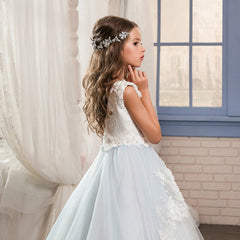 Light Blue 3 D Embroidery Sheer Dress Girls Fancy Princess Dress Ball Gown Floor Length