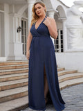 Halter Neck A-Line Sleeveless Gown Plus Size Evening Dresses