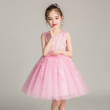 Lovely Princess Dresses with Bow Short Tulle Dress Embroidery Sheer Puffy A Line Gown