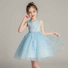 Lovely Princess Dresses with Bow Short Tulle Dress Embroidery Sheer Puffy A Line Gown